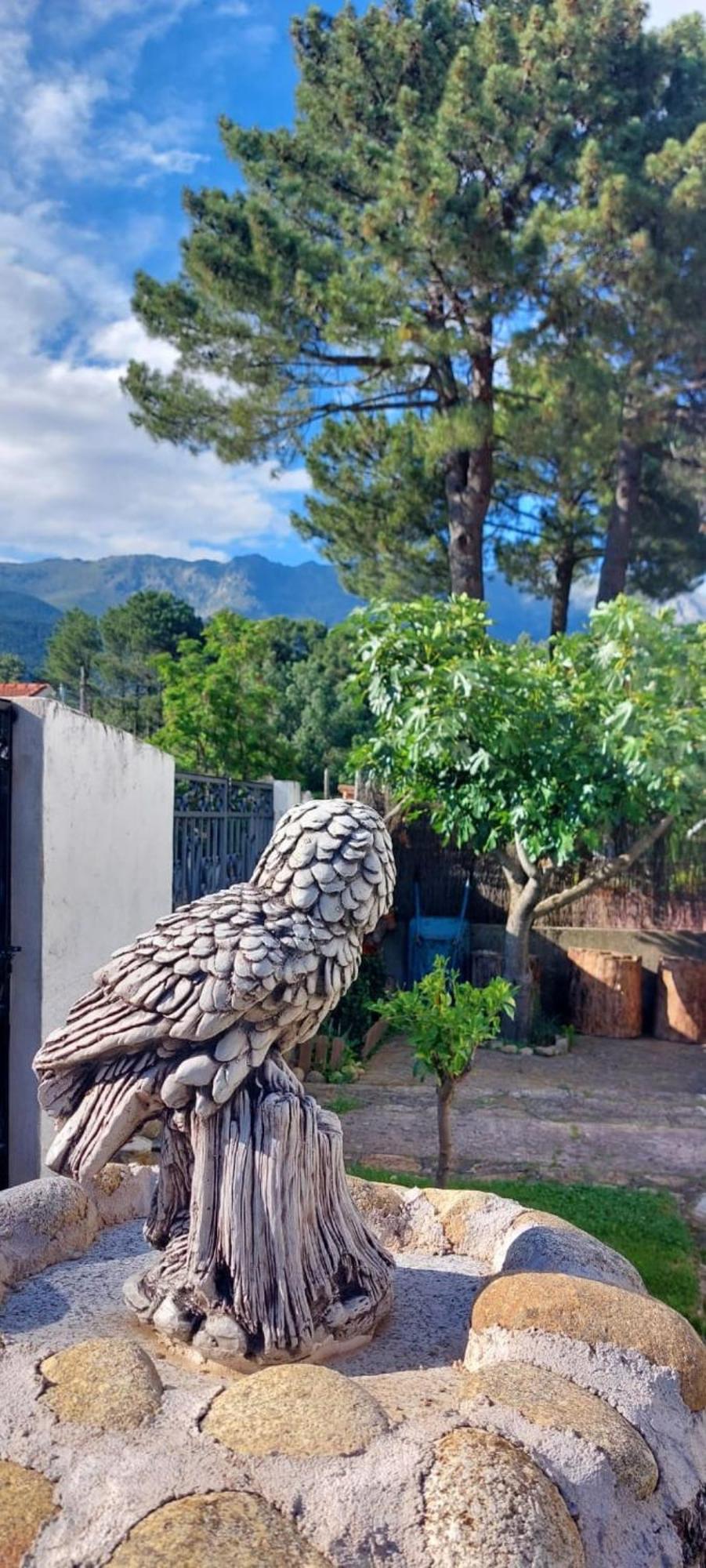 La Lechuza Blanca Villa Casavieja Dış mekan fotoğraf